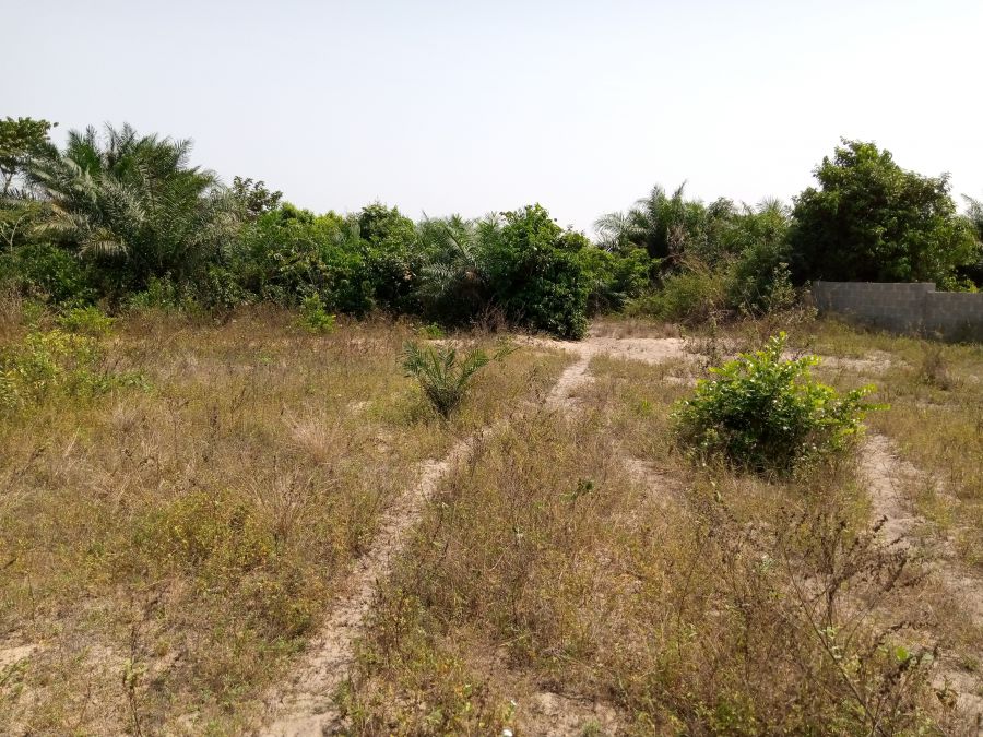 Land For Sale In Lagos State